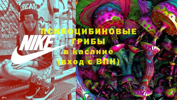 ешки Пересвет