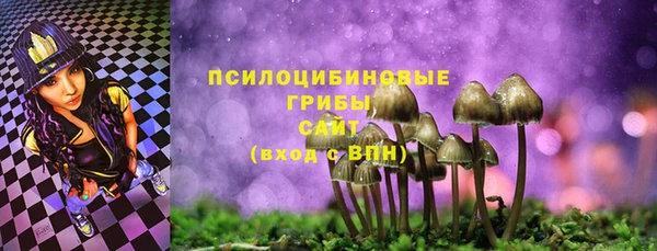 ешки Пересвет
