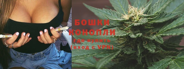 ешки Пересвет